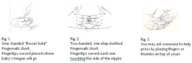 figure 1. one handed flower hold, fingernails short, fingertips curved placed where baby&rsquo;s tongue will go. figure 2. two handed one step method, fingernails short, fingertips curved touch the side of the nipple. figure 3. You may ask someone to help press by placing thumbs or fingers on top of yours.