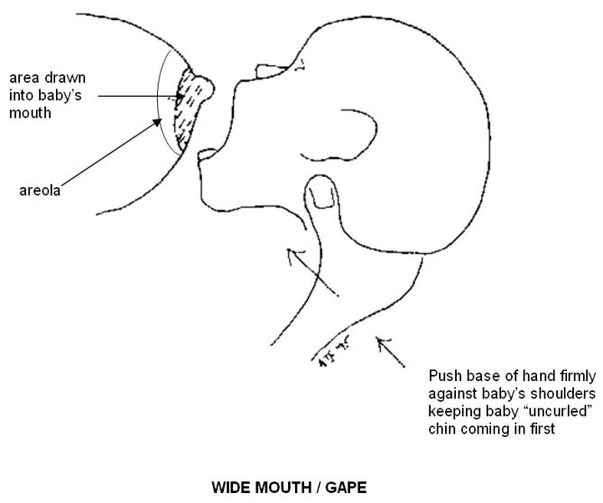 Push base of hand firmly against baby&rsquo;s shoulders keeping baby uncurled chin coming in first