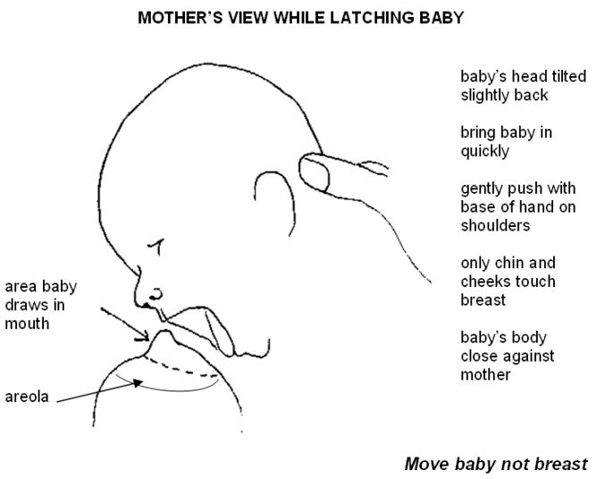 Mother&rsquo;s view while latching baby - baby&rsquo;s head titled slightly back, bring baby in quickly, gently push with baswe of hand on shoulders, only chin and cheeks touch breast, baby&rsquo;s body close against mother