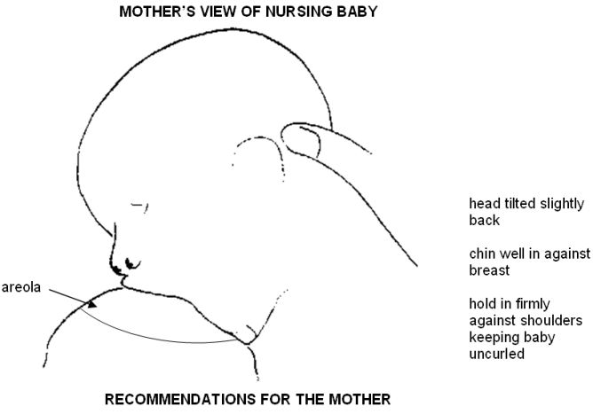 Mother&rsquo;s view of nursing baby - head tilted slightly back, chin well in against the breast, hold in firmly against shoulders keeping baby uncurled