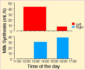 Chart: The variation in the rate of milk synthesis